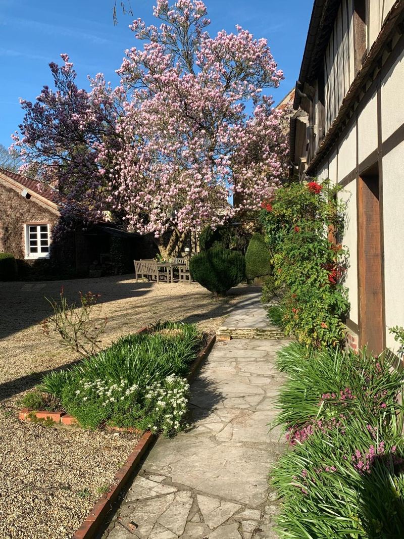 L'allée sous le magnolia